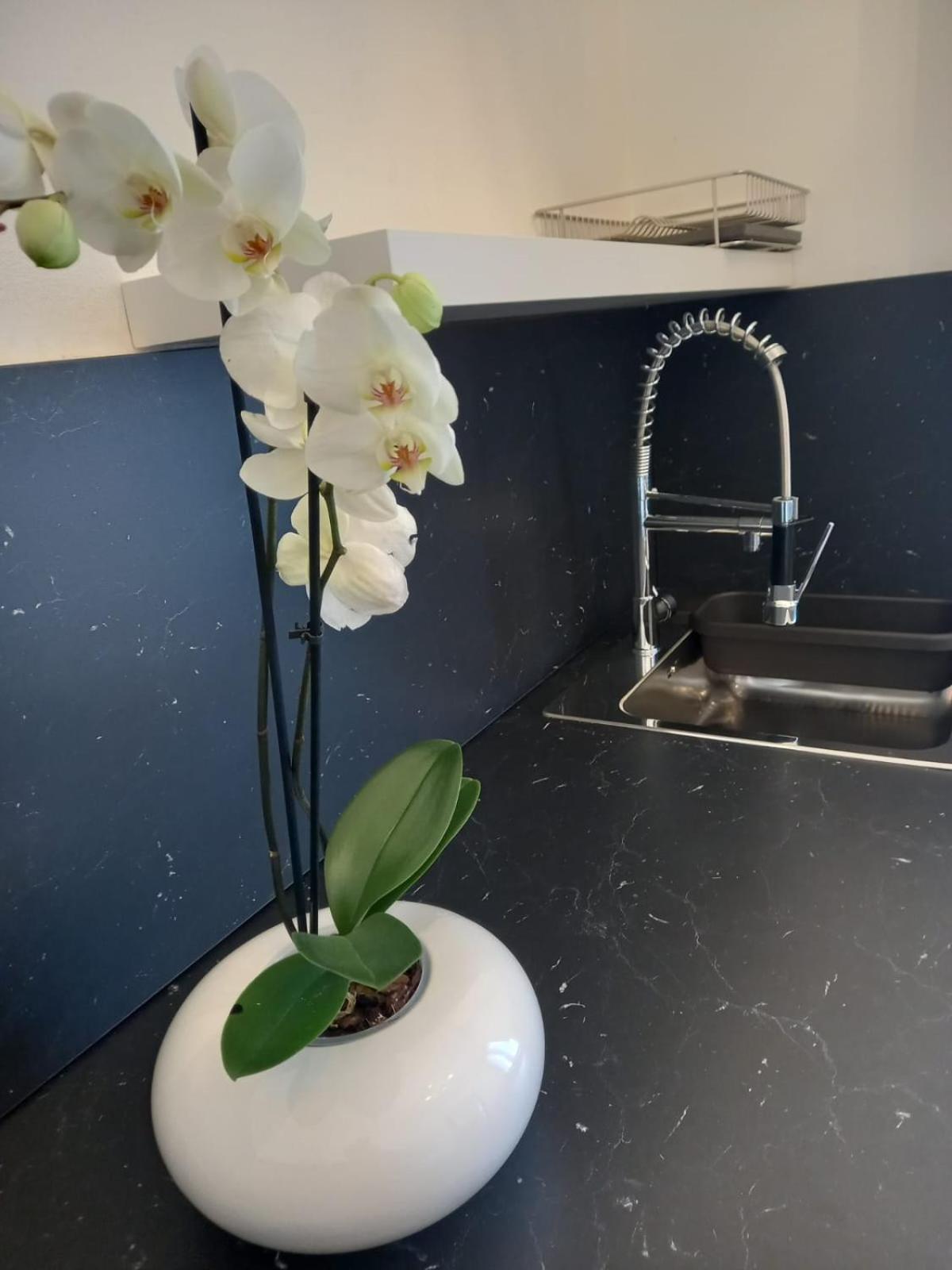 Casa Porta Vescovo Verona 아파트 외부 사진